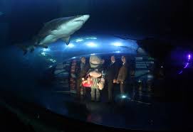 Rud enjoys a day out at Aquarium Plymouth – Rud Sawers Architects, Devon